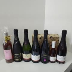 百年の孤独 焼酎 黒木本店 まとめ売りのみ都農ワイン スパークリング