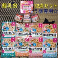 むう様☆専用♡離乳食 ベビーフード・7ヶ月〜・12点セット♡のサムネイル