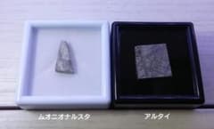 ムオニオナルスタ隕石　アルタイ隕石　標本のサムネイル