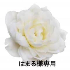 【はまる様専用】Zatchelsのサムネイル
