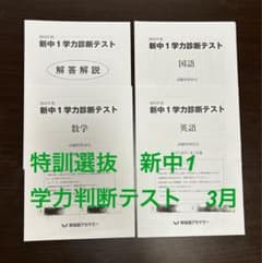 新中1 学力診断テスト 3科 早稲アカ 過去問 - メルカリ