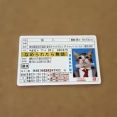 にゃめんにゃよカード免許証ゴールドのサムネイル