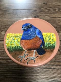 青い鳥　イソヒヨドリ　アクリル絵の具　原画のサムネイル