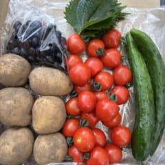 野菜詰め合わせミニトマトじゃがいも　きゅうり　しその葉　ブルーベリー　コンパクトのサムネイル