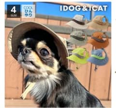 IDOG & ICAT 犬用帽子 アーバンクラウド Sのサムネイル