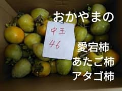 愛宕柿 あたご柿 渋柿 干し柿用 中玉 40〜50個のサムネイル