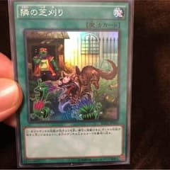 隣の芝刈りのサムネイル