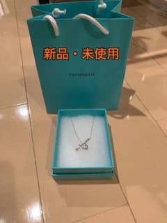 【みー様専用】Tiffany ティファニー ネックレスのサムネイル
