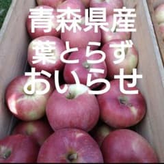 葉とらずおいらせ家庭用のサムネイル
