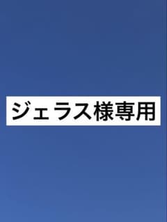 ジェラス様専用のサムネイル
