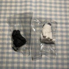 おすわりーぬ3 ぱぐーぬ 黒といぷーぬのサムネイル