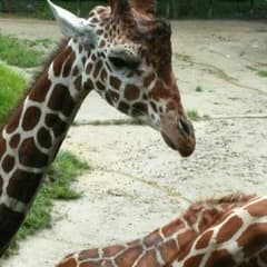 ビーズアクセサリーのサムネイル