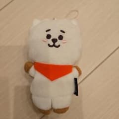 [미사용] BT21 RJ