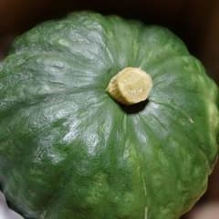 栗ゆたか 3個 Yumera様専用のサムネイル