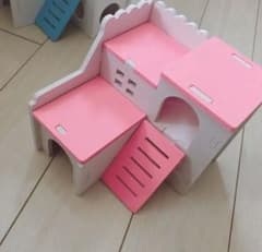 ハムスター おうちのサムネイル