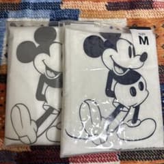 【早い者勝ち破格‼️】ディズニーレインポンチョ　M L2枚セットのサムネイル