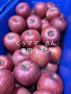 専用です！のサムネイル