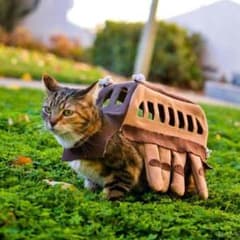 Reb'lさん専用ページのサムネイル