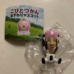 こびとずかん　シボリオオチチのサムネイル