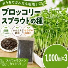 ブロッコリースプラウト専用種子　1000mlx3 高発芽率種子のサムネイル