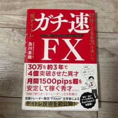 ガチ速FX 27分で256万を稼いだ"鬼デイトレ"のサムネイル
