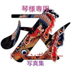 琴様専用。のサムネイル