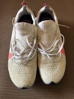 NIKE フライニットフライ 26.0cmのサムネイル