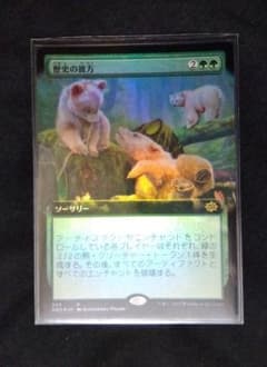 MTG 歴史の彼方　拡張foil　兄弟戦争のサムネイル