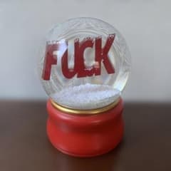 置物 Fuck  dome advisory Fuck snow dome advisory - メルカリ