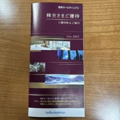 西武ホールディングス　株主優待のサムネイル