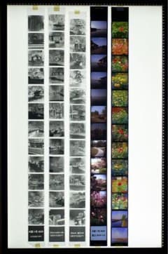 m60680067467_1.jpg?1759457912