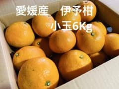 愛媛産　伊予柑　小玉　6Kg（箱含む）のサムネイル
