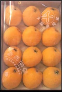 南房総産 【房州びわ】超大粒‼️ ４L玉 12個入り☆のサムネイル