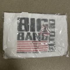 BIGBANG 0.TO.10 IN JAPAN 테이크 아웃 백