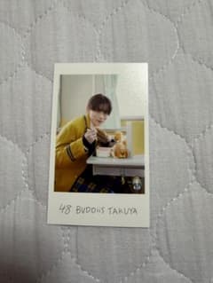 BUDDiiS TAKUYA ミニフォトのサムネイル