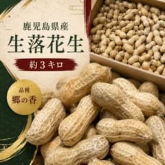 鹿児島県産 生落花生 約3キロ 品種 郷の香 h - メルカリ