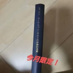 ロールシャッハ・テストの体験的基礎のサムネイル