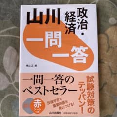 山川 一問一答政治・経済のサムネイル