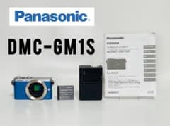 [Rare Color] Panasonic LUMIX GM1 Turquoise [Fully Functional]