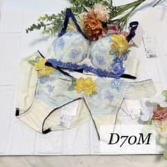 新品】wacoal サルート 06 ブラ ショーツ2枚はD70M OV - メルカリ