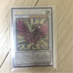 遊戯王 ブラックローズのサムネイル