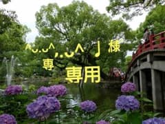 ^ᴗ.ᴗ^ ♩様専用のサムネイル