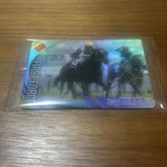 サラブレットホースコレクション　ファストフォース　サイン入りのサムネイル