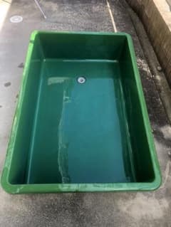 FRP水槽 らんちゅう ランチュウ 蘭鋳のサムネイル