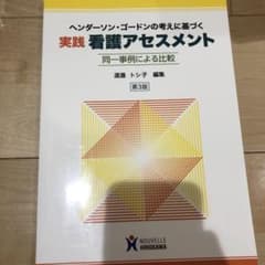 ヘンダーソン・ゴードンの考えに基づく実践看護アセスメント : 同一事例による比較のサムネイル