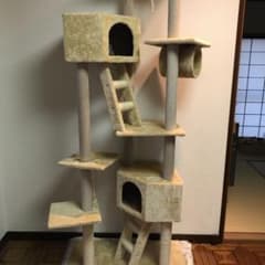 キャットタワーのサムネイル