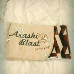 嵐ライブin宮城 コンサートグッズのサムネイル