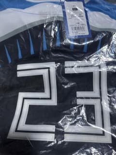 【新品未開封】23 伏見寅威 日本ハムファイターズ エスコンユニフォーム L 新品未開封】23 伏見寅威 日本ハムファイターズ エスコンユニフォーム