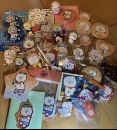 BT21 RJ 아크릴 열쇠 고리 캔 배지 세트