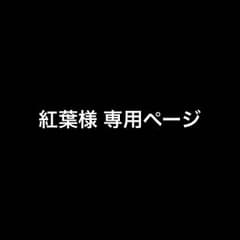 紅葉様 専用ページのサムネイル